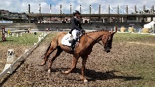 Foto de arquivo da Equina Galicia 2025.