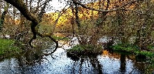 Protexer o cambio climático en Galicia.