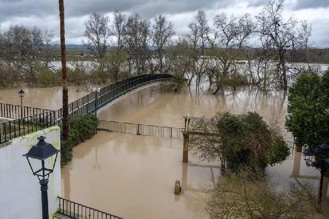 Vista de un parque inundado.