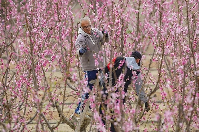 Foto de archivo de trabajadores.