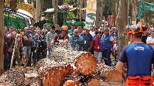Foto de archivo de la feria Galiforest Abanca.