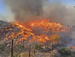 Incendio forestal de Los Gallardos.