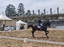 Equina Galicia 2026.