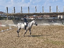 Equina Galicia 2026.