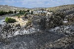 Terreno calcinado.