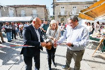 Arrinca a Festa da Lamprea.
