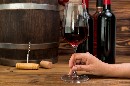 Elaboración de vinos. 