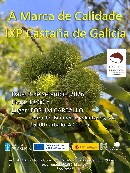 Cartel IXP Castaña de Galicia.