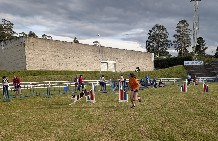 Foto de arquivo do Galican Agility Cup.