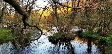 Protexer o cambio climático en Galicia.